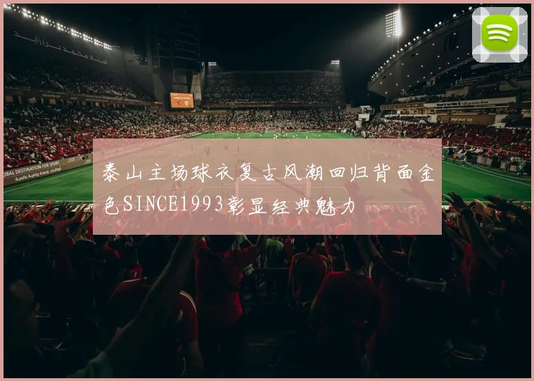 泰山主场球衣复古风潮回归背面金色SINCE1993彰显经典魅力