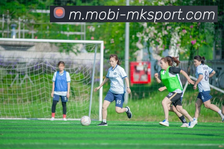 MK体育APP 体育赛事宣传图